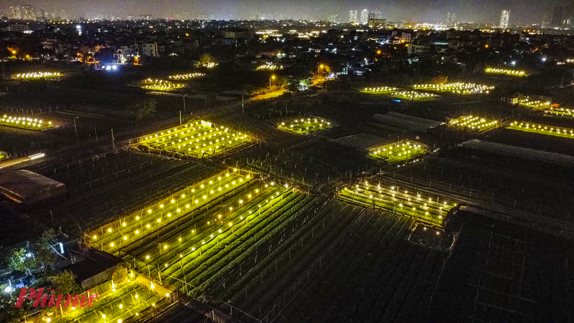 Cách trung tâm Hà Nội khoảng 20 km về phía tây, Tây Tựu là một trong những làng hoa cung cấp hoa tươi cho thủ đô và nhiều tỉnh, thành khác.