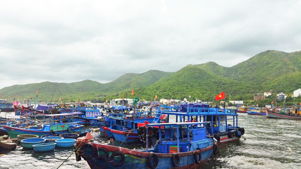 Tàu, thuyền vào  tránh trú mùa biển động  - Ảnh do nhân vật cung cấp