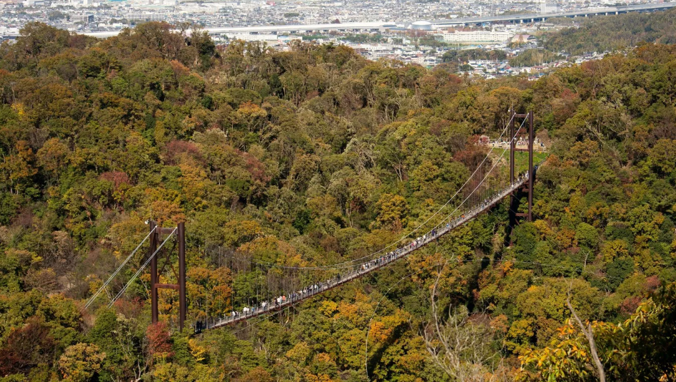 Công viên Hoshida, Osaka. Hoshida nổi tiếng với những đường mòn tuyệt đẹp, cây cầu treo nhìn ra khung cảnh lãng mạn. Có rất nhiều nhà vệ sinh và máy bán hàng tự động dọc theo các con đường nên đây là nơi thuận tiện để có một buổi dã ngoại nhỏ - Ảnh:Daniel Ramirez/Flickr