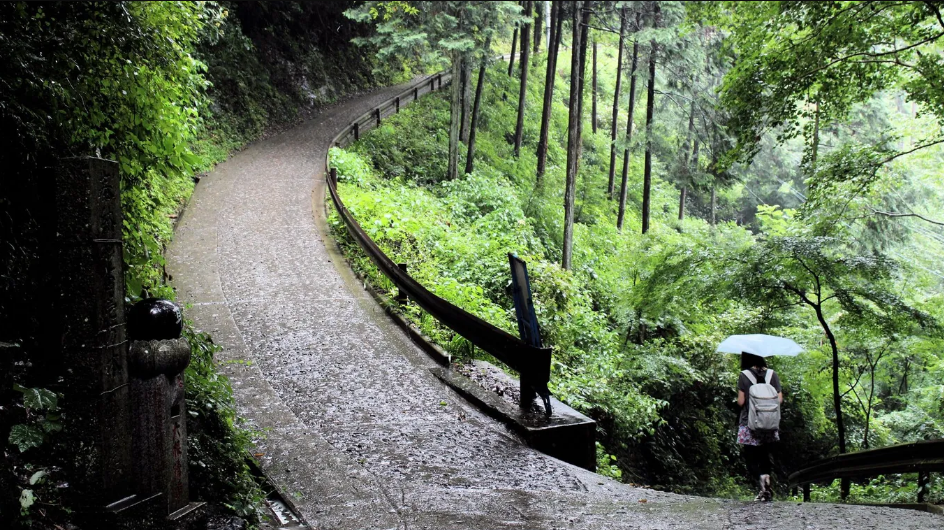 Rừng trên núi Takao,Tokyo. Nằm cách trung tâm Tokyo khoảng một giờ về phía tây, Takao là thiên đường cho những người yêu thiên nhiên thích đi bộ đường dài, ngắm chim và chụp ảnh. Trên đường đi, bạn sẽ đi qua một công viên khỉ và đền Yakuoin. Mùa xuân là thời điểm tuyệt vời để đây - Ảnh: DocChewbacca/Flickr