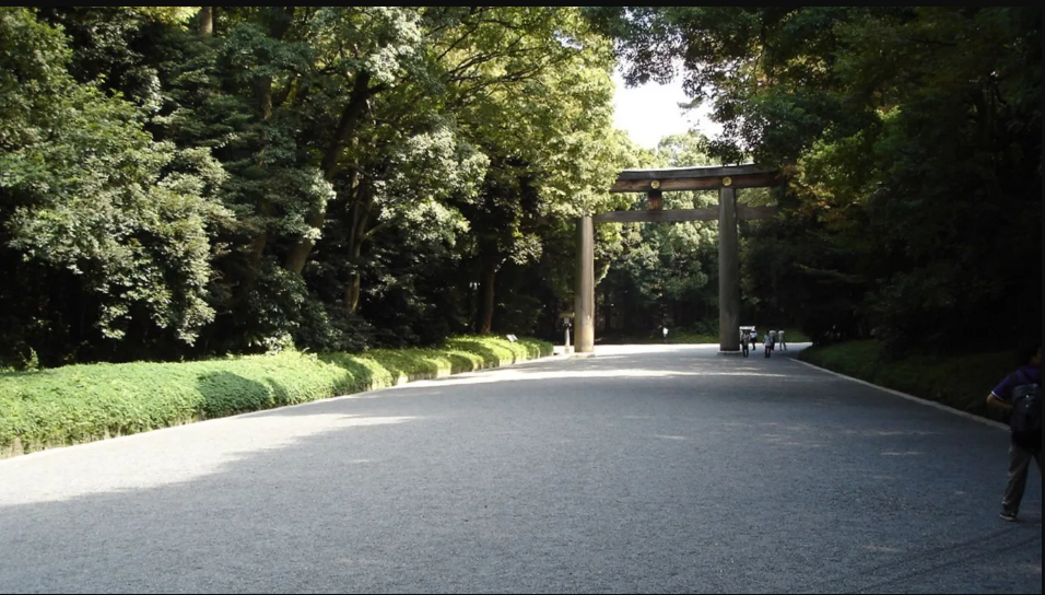 Rừng Meiji Jingu, Tokyo. Khu rừng rộng 68 ha, gần Harajuku và Shibuya. Đây là nơi sinh sống của 100.000 cây xanh và có đền thờ Meiji. Thời điểm tốt nhất để ghé thăm là sáng sớm hoặc chiều muộn vào mùa xuân. Meiji Jingu là nơi hoàn hảo để tạm rời xa cuộc sống thành thị ở Tokyo - Ảnh: David McKelvey/Flickr