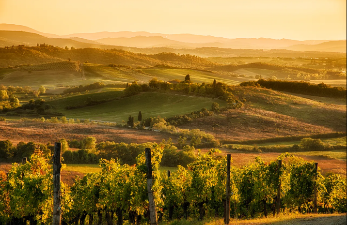 Tuscany, Ý - Ảnh: Getty Images