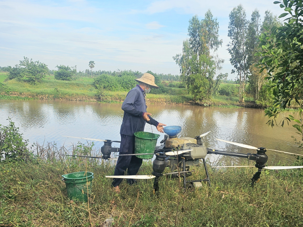 Nông dân huyện Giang Thành, tỉnh Kiên Giang dùng máy bay không người lái để phun thuốc trừ sâu - ẢNH: PHÚ HỮU