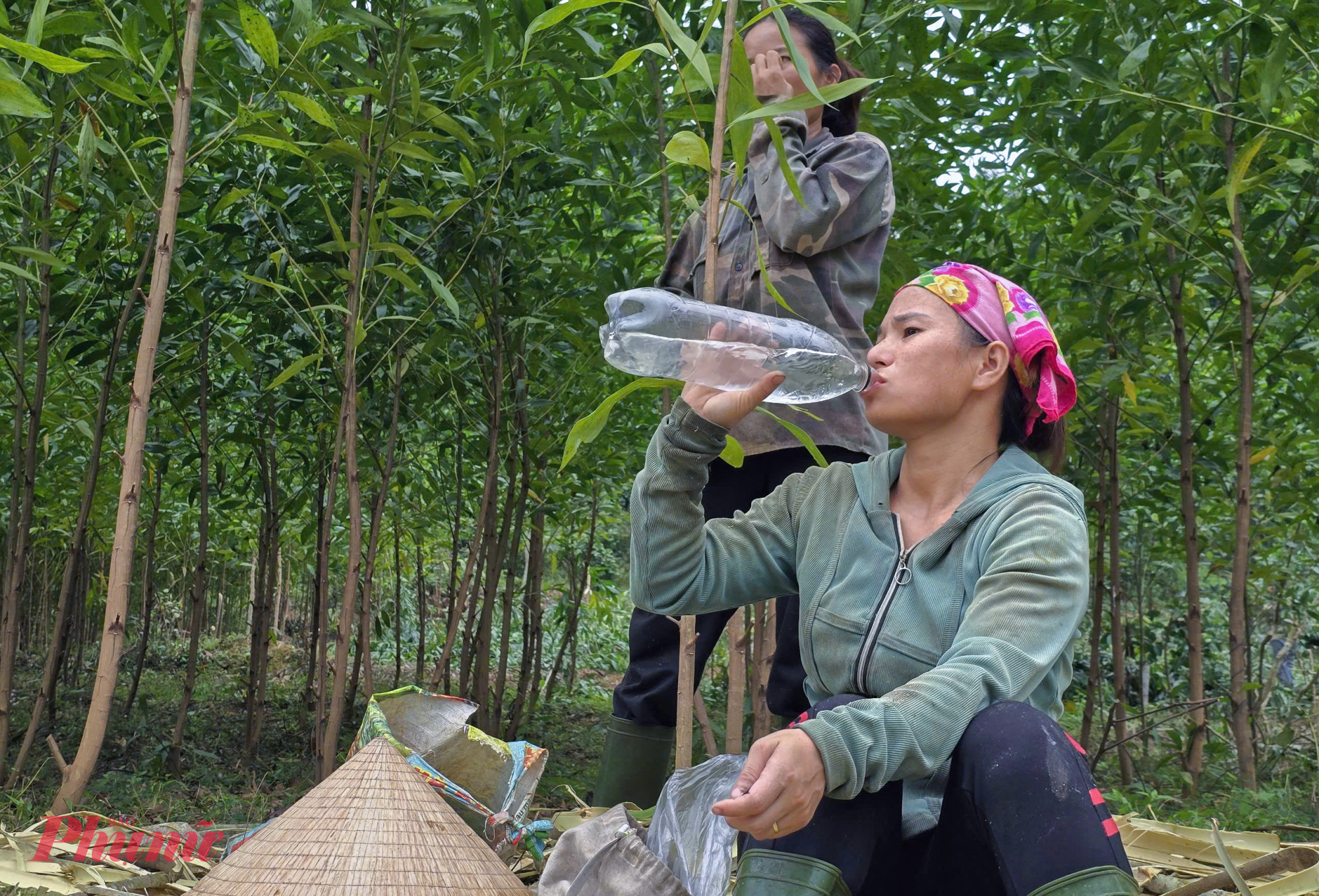 Ngoài máy cưa, rựa, dao… để thu hoạch keo, các đội “phu keo” còn phải chuẩn bị nước uống, sữa hay bánh kẹo và cơm để ăn nghỉ ngay tại rừng để tăng năng suất làm việc. 