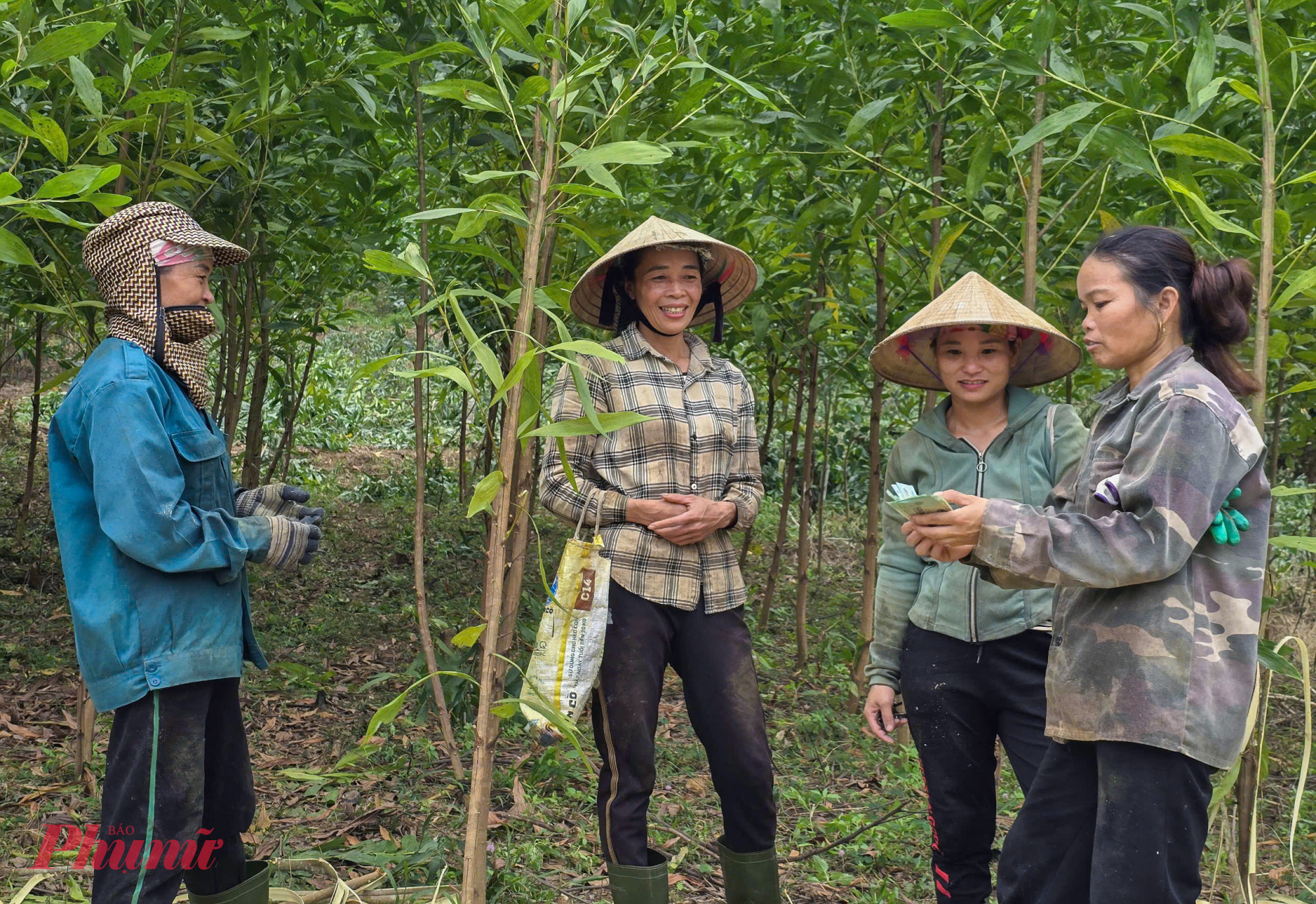 Vất vả là vậy, song nghề “phu keo” vẫn thu hút rất đông phụ nữ ở các xã vùng cao Nghệ An làm việc bởi công việc gần nhà, thu nhập cao. Sau một ngày làm việc cật lực, ai cũng thấm mệt, từng vạt lưng ai nấy đều ướt sũng mồ hôi song đó cũng là lúc họ trông chờ nhất khi được chủ trả tiền công.