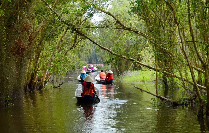 Ngoài cung đường xuyên rừng tràm độc đáo, du khách đến đây có thể kết hợp ghé thăm và check-in tại một số điểm đến khác như khu thuần dưỡng chim, cầu chữ X, hồ Bán Nguyệt... Địa chỉ: QL62, Tân Lập, Mộc Hóa, Long An, mở cửa từ 7g30 – 17g . Giá vé vào cổng: 70.000 đồng/người, 80.000 đồng/người (bơi xuồng ba lá), 90.000đ/người (tour tàu vỏ lãi/thuyền cáp kéo).