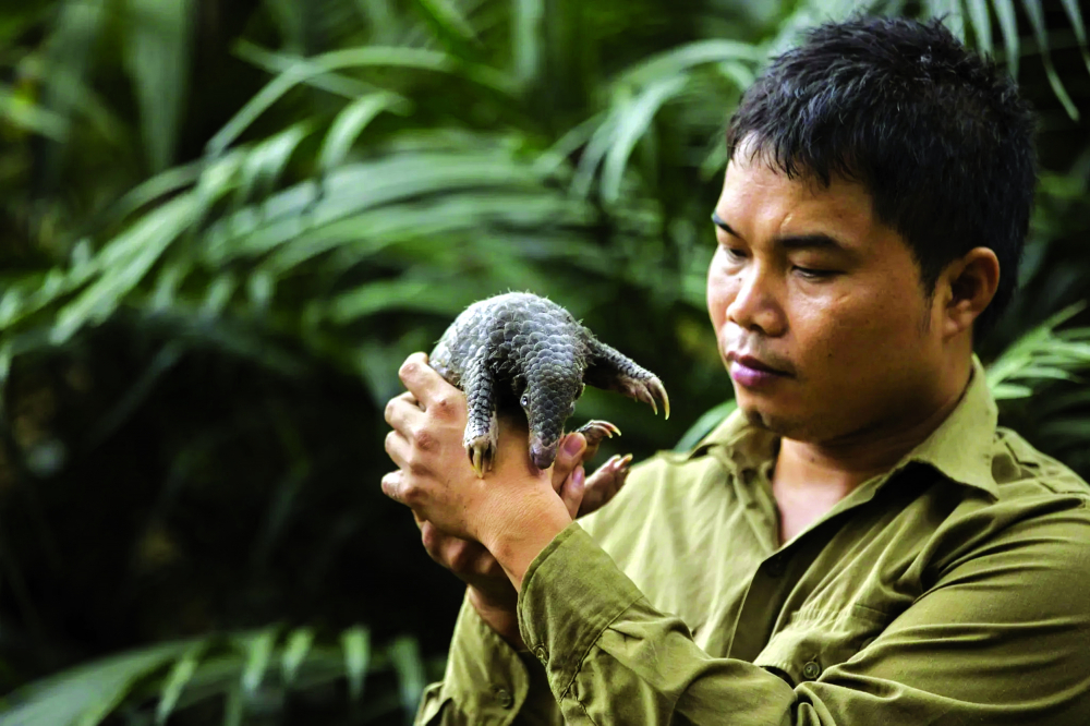 Anh Thái chăm sóc tê tê - loài vật gắn bó với anh từ những ngày đầu tham gia bảo tồn động vật hoang dã