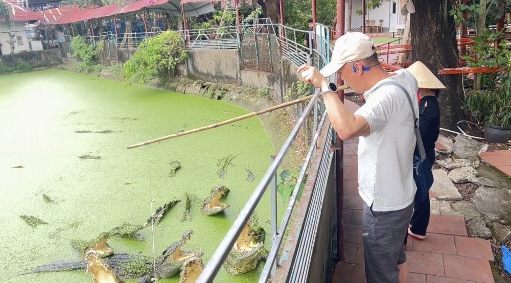  Tại đây, khách có lựa chọn tham quan và trải nghiệm các hoạt động cảm giác mạnh như: câu cá sấu, xem nhân viên cho cá sấu ăn,...