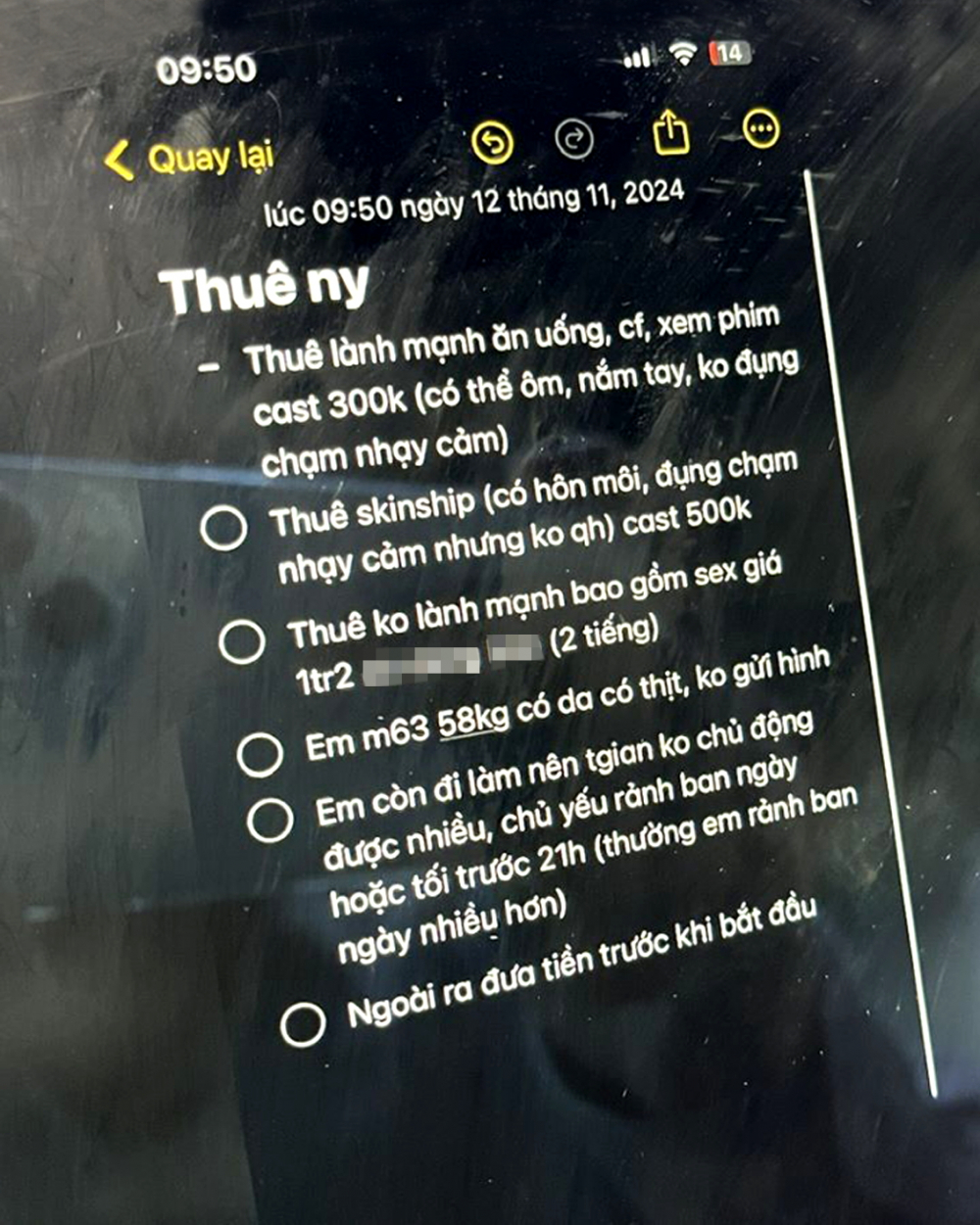 Bảng giá  dịch vụ cho  thuê người yêu  được một cô  gái trẻ cung cấp - ẢNH: NHẬT THÀNH