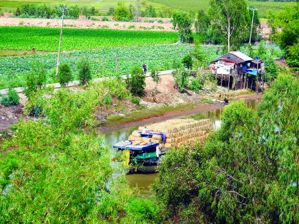 Bức tranh quê từ chòi canh nhìn xuống