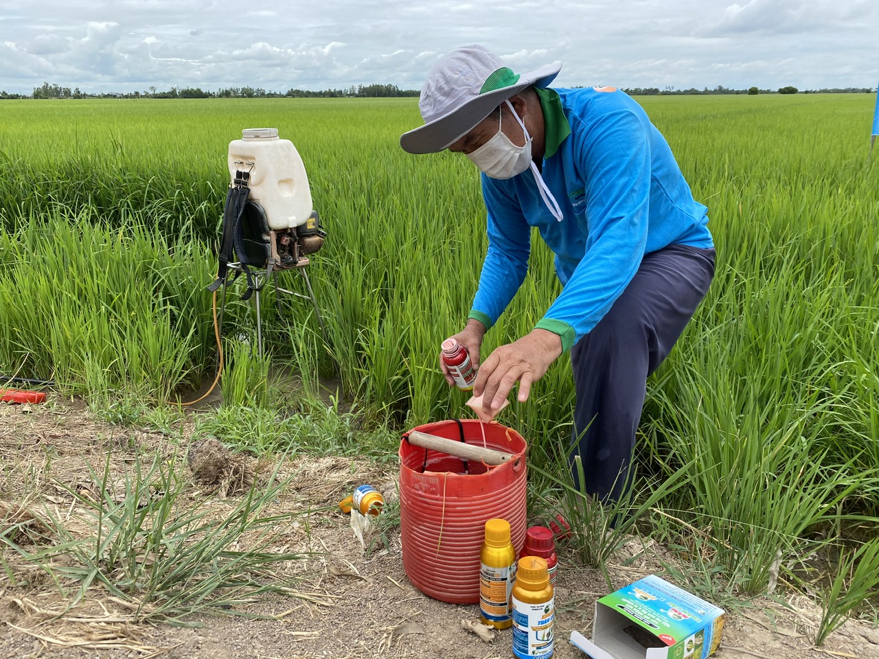 Nông dân TP Cần Thơ phun thuốc trừ sâu bệnh trên cây lúa 