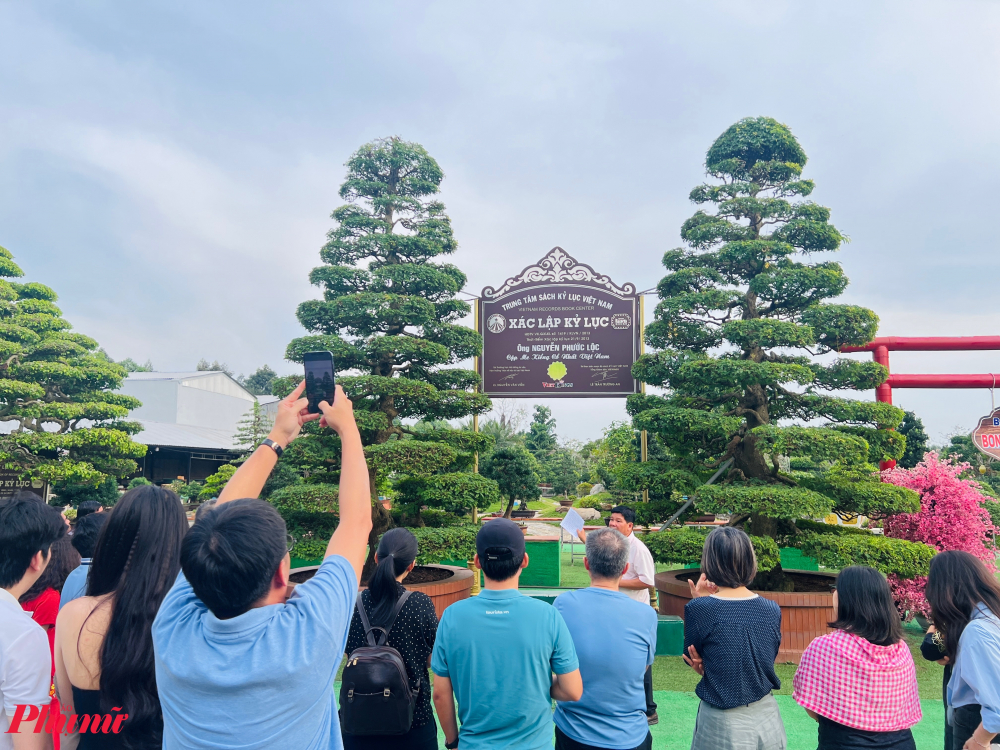 Trong chương trình tour Một ngày làm nghệ nhân Bonsai du khách sẽ được tham quan bảo tàng Bonsai tại