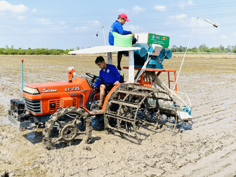 Đề án 1 triệu ha lúa chất lượng cao ở đồng bằng sông Cửu Long, bước đầu đem lại hiệu quả tích cực