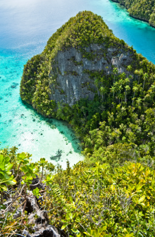 Raja Ampat, Indonesia: Nằm ở tam giác san hô, giữa Indonesia, Malaysia, Papua New Guinea và Philippines, Raja Ampat có môi trường sinh học dưới biển đa dạng nhất thế giới. Hãy lặn biển giữa những chú cá đủ màu sắc và rạn san hô rực rỡ, hoặc ngoi lên ngắm các loài chim như: chim mỏ sừng, vẹt mào, đại bàng biển... - Ảnh: Getty