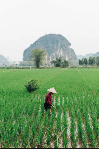 Theo CN Traveller, Hòa Bình nằm ở phía Bắc Việt Nam có những cánh đồng lúa trải dài bất tận. Đây là nơi sinh sống của các dân tộc miền núi như Mường, Thái,  Dao, H'Mông, trong đó đông nhất là người Mường.  Đến Hòa Bình, du khách đừng bỏ qua thủy điện Hòa Bình, đèo Thung Khe nằm giữa 2 huyện Tân Lập và Mai Châu. Đèo thường có mây mù tạo nên khung cảnh mờ ảo. Riêng Mai Châu thì có Bản Lác với hàng trăm nhà sàn trên 700 tuổi, thác Gò Lào ẩn mình giữa núi rừng Tây Bắc.- Ảnh: Maria Midões