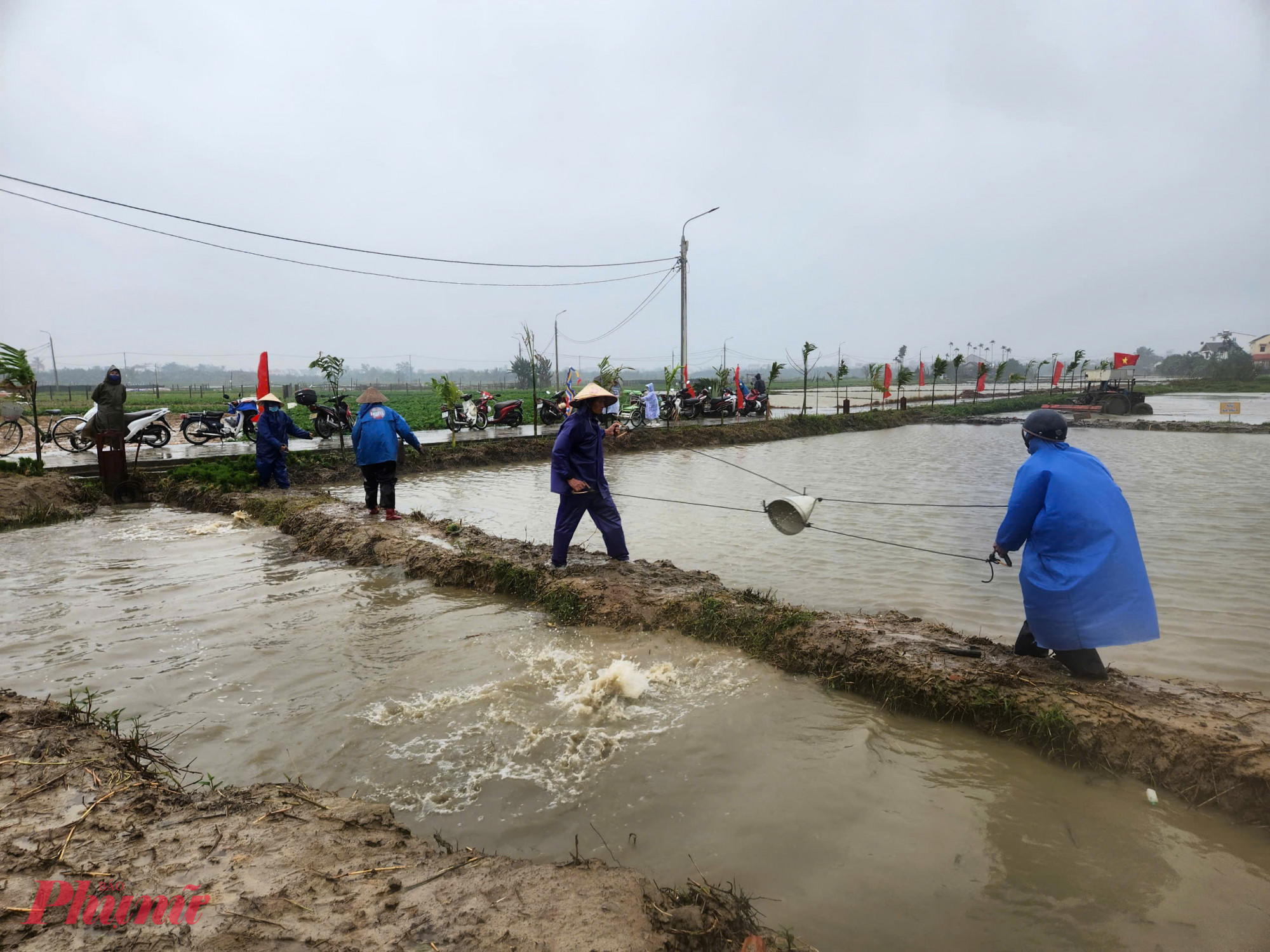 Lễ hội có nhiều hoạt động như: Lễ cúng thần Nông, một số hoạt động trải nghiệm trên đồng ruộng phục vụ du khách, trình diễn hoạt động trâu cày ruộng, trình diễn đội hình xe máy cày, thi cấy lúa, bắt mộng vụ Đông, tát nước Gàu sòng.