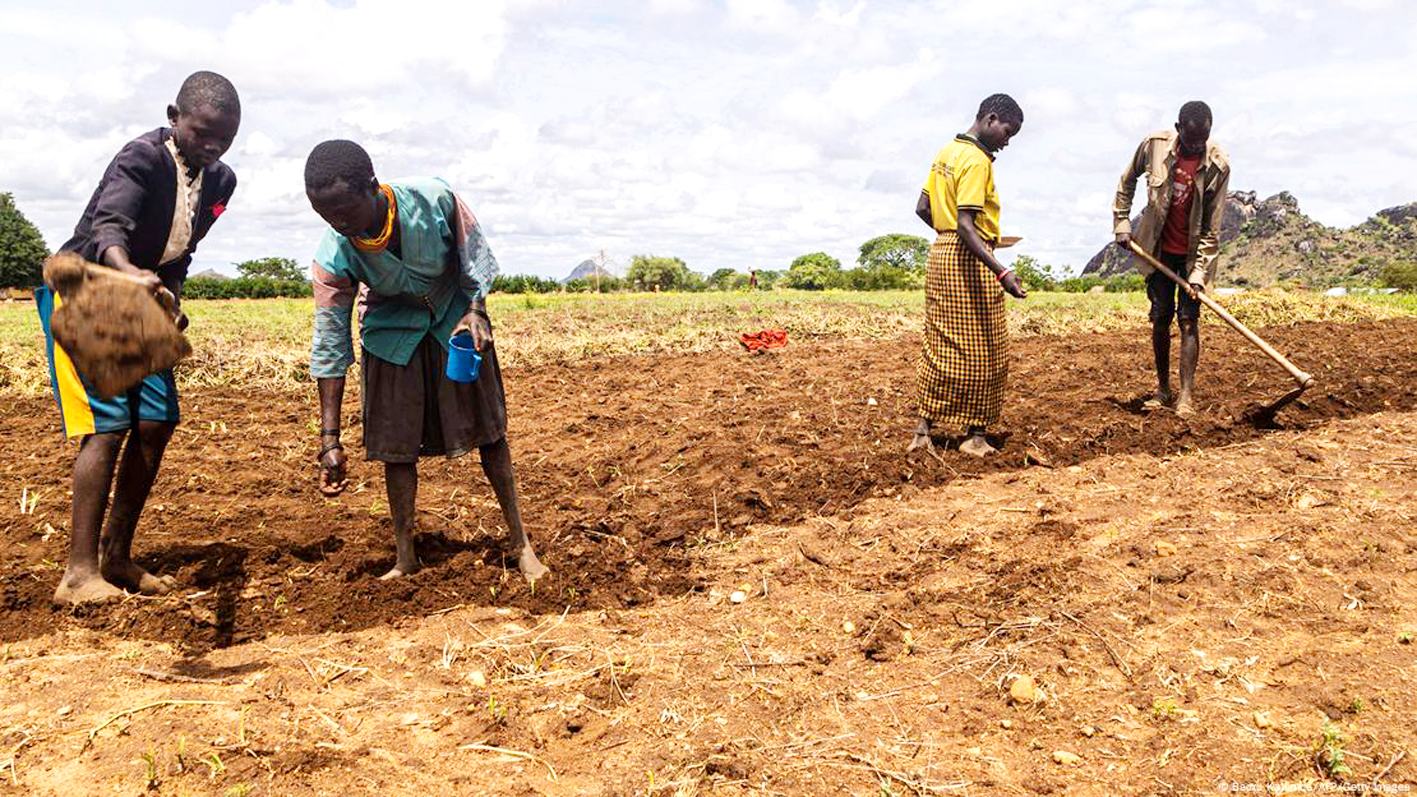 Biến đổi khí hậu góp phần dẫn đến hạn hán ở Uganda và các khu vực khác ở Đông Phi - ẢNH: BADRU KATUMBA (Getty Images)