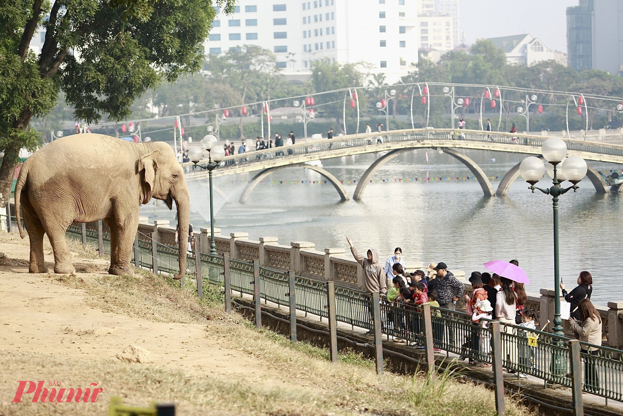 được nhiều người chú ý khi tới thăm vườn thú Thủ Lệ.