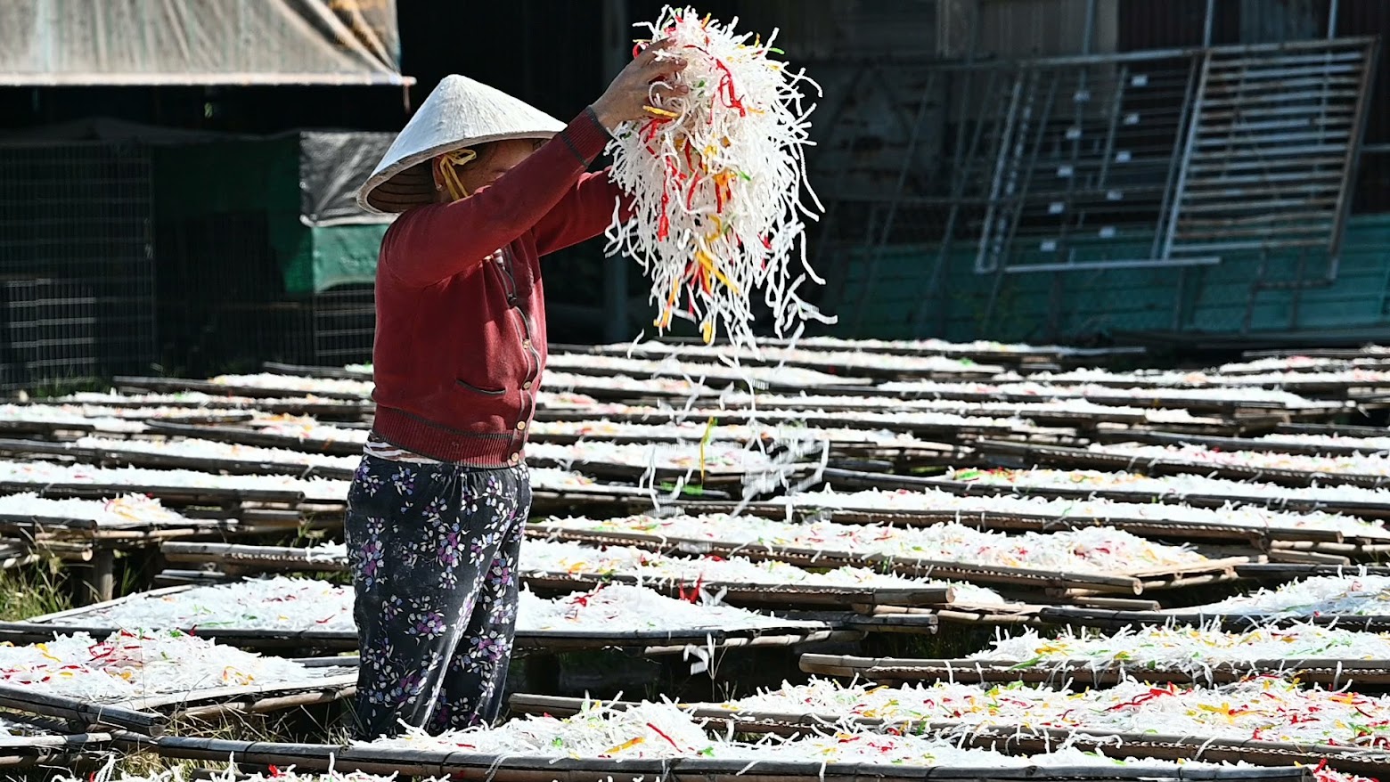 Du lịch Tây Ninh