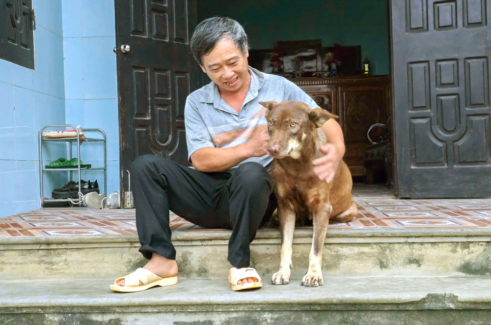 Xây nếp văn minh để làng quê sạch đẹp, yên bình Nhờ kiên trì huấn luyện, những con chó của ông Hồ Sỹ Chung chưa từng ra khỏi nhà suốt 5 năm qua - ẢNH: PHAN NGỌC
