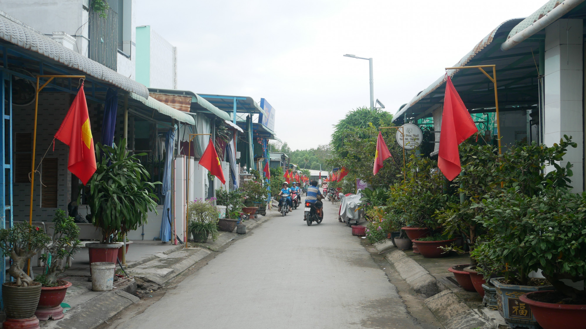 Màu cờ Tổ quốc đỏ rực tuyến đường duy nhất của xã đảo Thạnh An