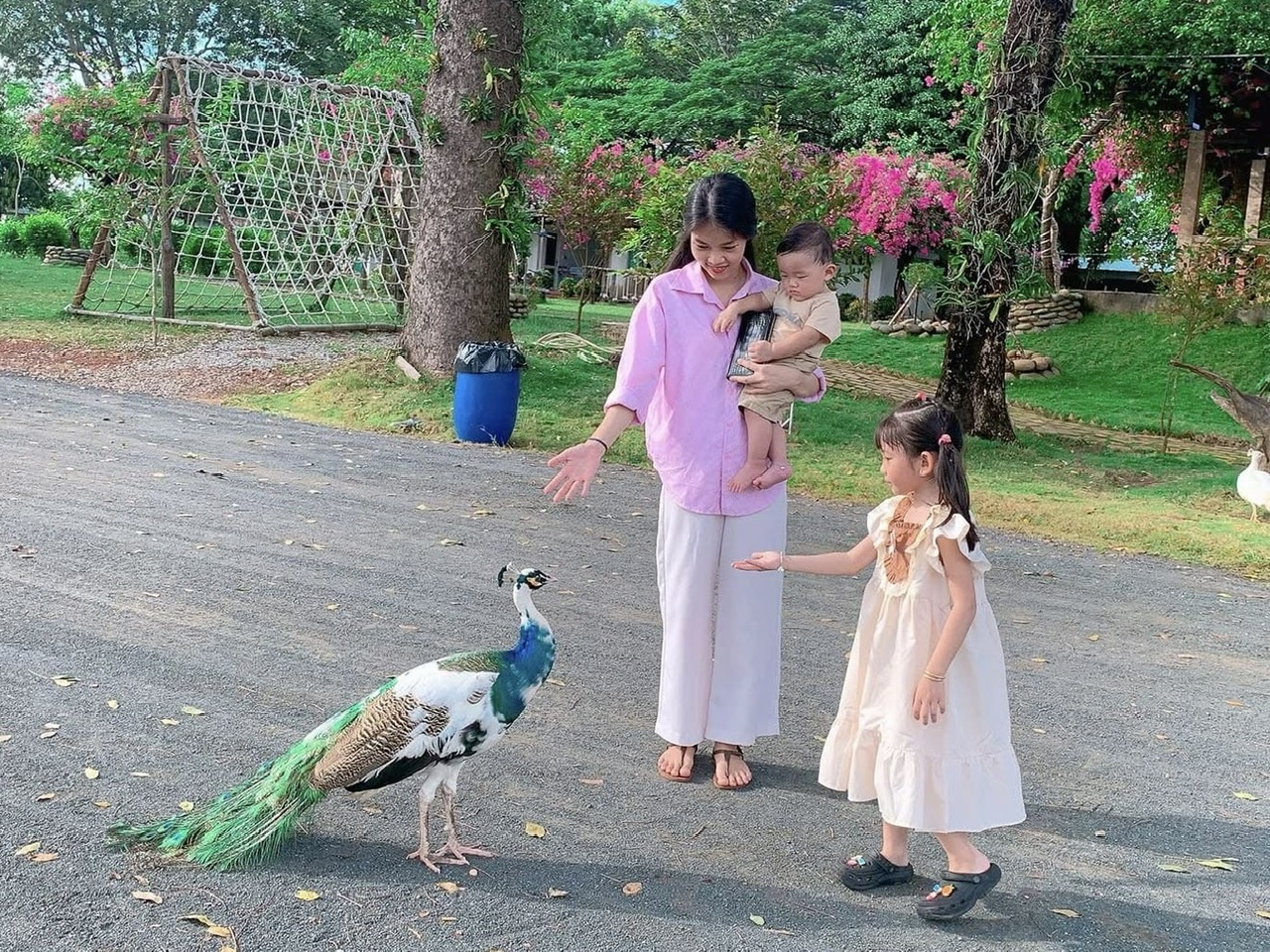 Nhiều bé thích thú khi được cho ăn, chơi cùng các loài động vật giữ không gian mát mẽ, rộng rãi - Ảnh: Nhã Chân