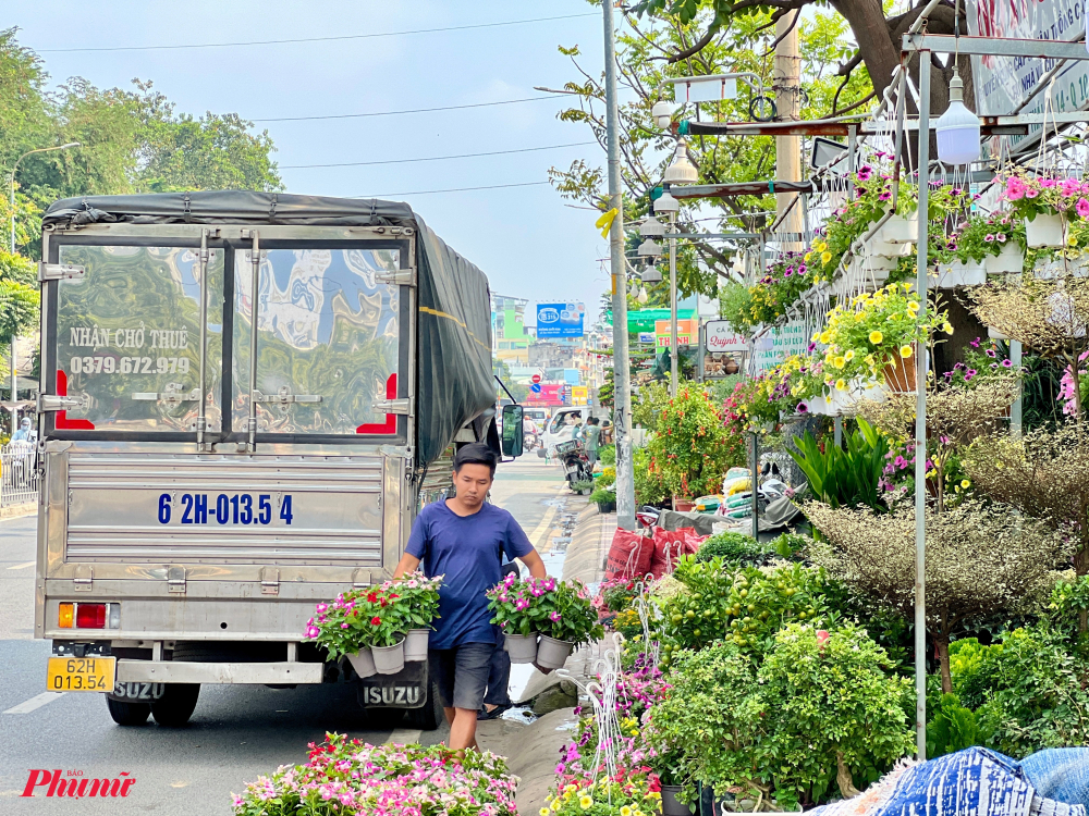 Tại các con đường chuyên hoa kiểng TPHCM như Thành Thái (quận 10), Mai Chí Thọ, Phạm Văn Đồng (TP Thủ Đức),...các cửa hàng đã bắt đầu xuống 