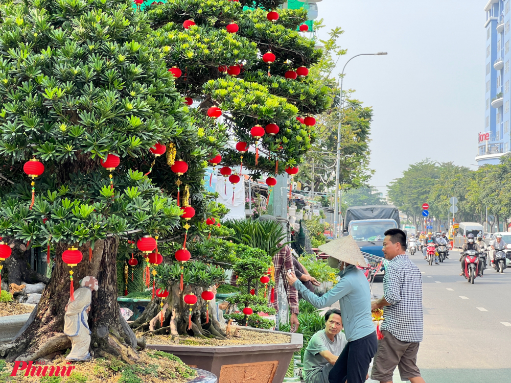 Người bán bắt đầu về hoa kiểng, trang trí bắt mặt phục vụ khách trên đường Thành Thái (quận 10).