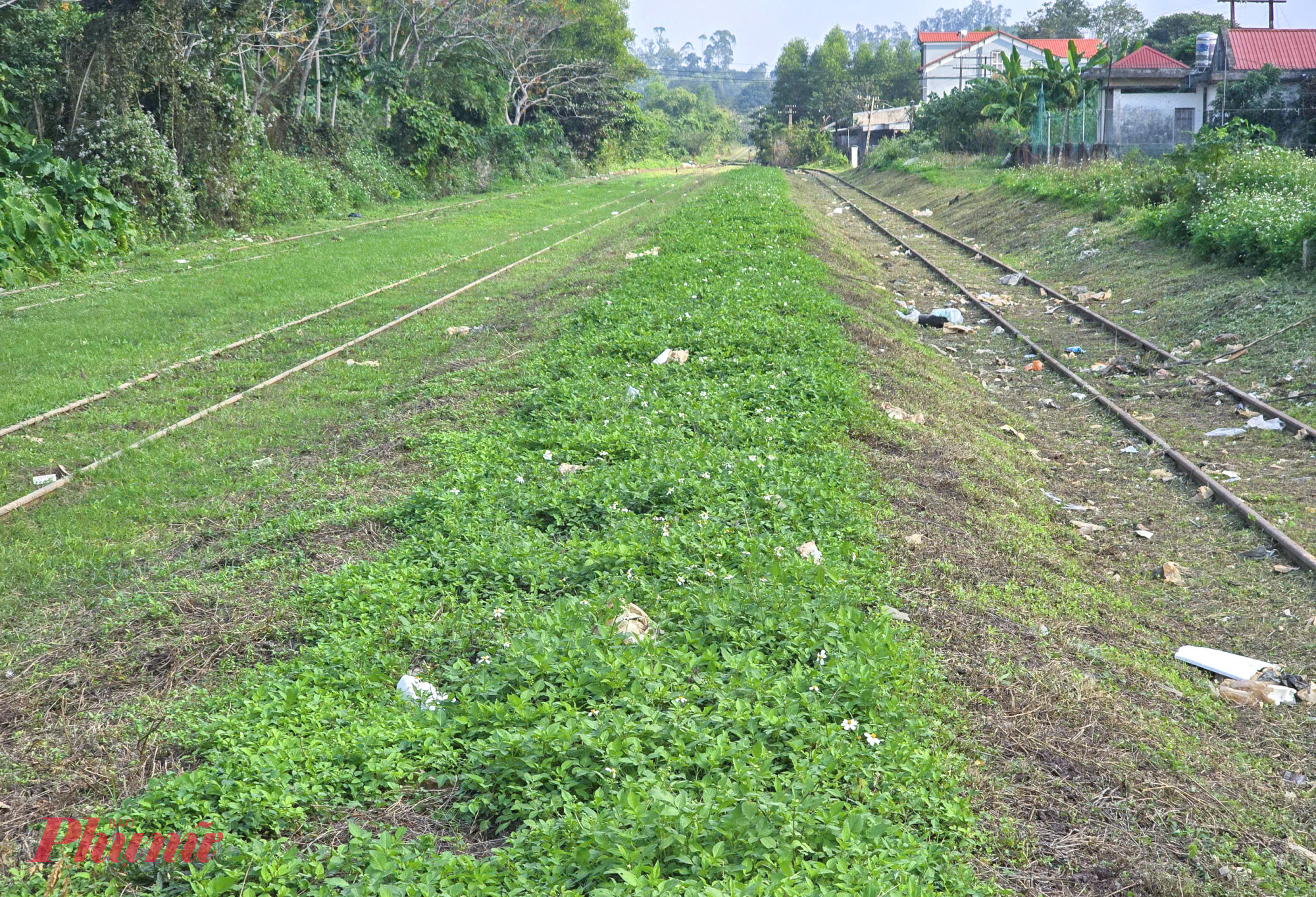 Lãnh đạo Công ty Đường sắt Nghệ Tĩnh (đơn vị quản lý đường sắt Cầu Giát - Nghĩa Đàn) cho biết, dù không hoạt động song thời gian qua đơn vị này vẫn phải duy trì lực lượng để bảo vệ tài sản cho tuyến đường sắt này. Trung bình mỗi năm cần 2 tỉ để duy trì các hoạt động bảo vệ, cắt cỏ, hốt đất đá tràn xuống đường ray…