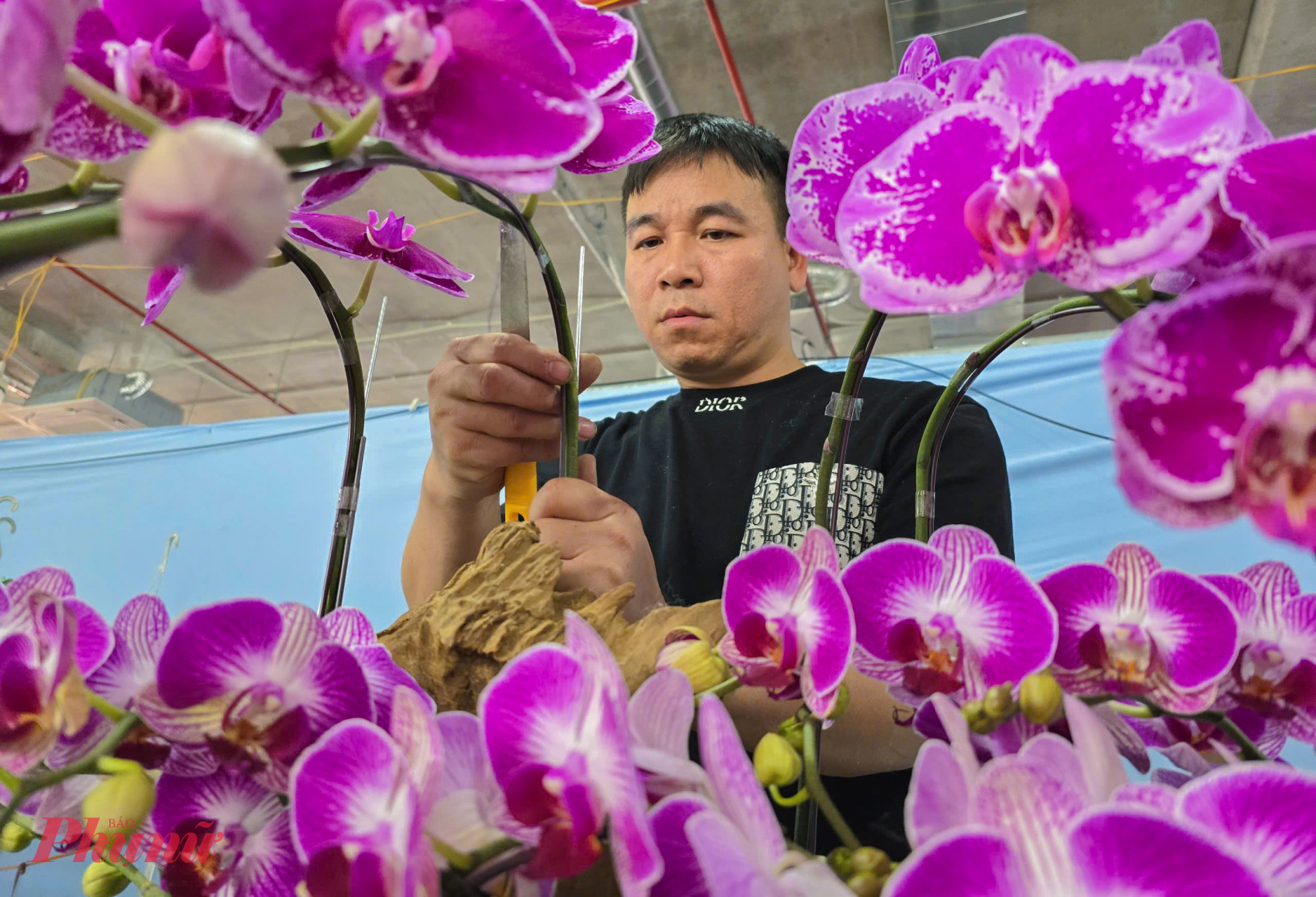 Đòi hỏi sự sáng tạo, thời gian dài hơn nên thợ kết lan trên gỗ lũa được trả công 40.000 - 65.000 đồng/cành - Ảnh: Phan Ngọc