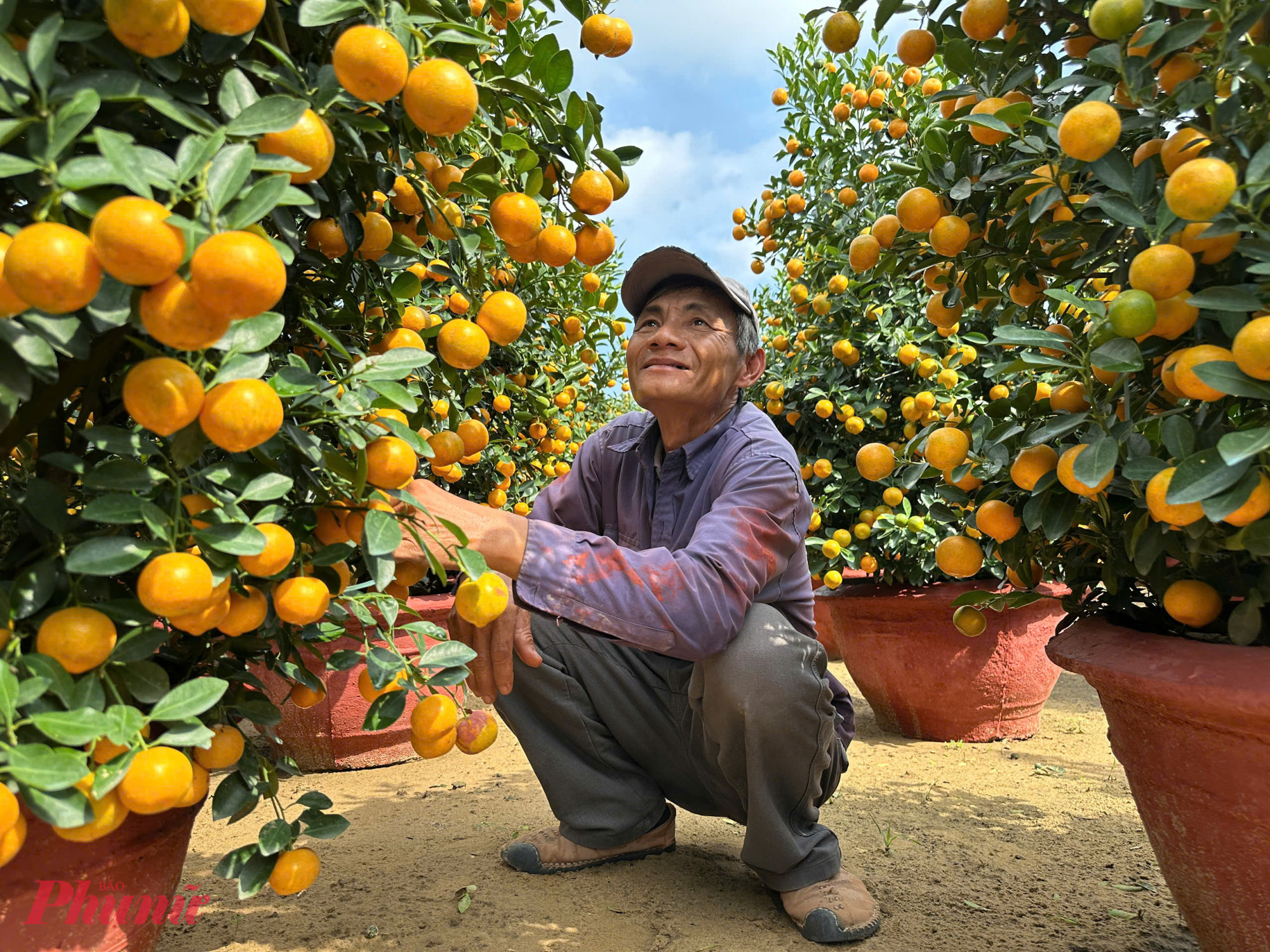 Ông Nguyễn Lên (tổ 14, thôn Đồng Nà) năm nay có 500 chậu quất cảnh. Với giá từ 1-5 triệu đồng/chậu, ông đã bán xong hết mấy ngày trước. Mùng 10 tháng Chạp thương lái sẽ tới chở quất đi, ông chuẩn bị mặt bằng trồng vụ mùa năm sau.