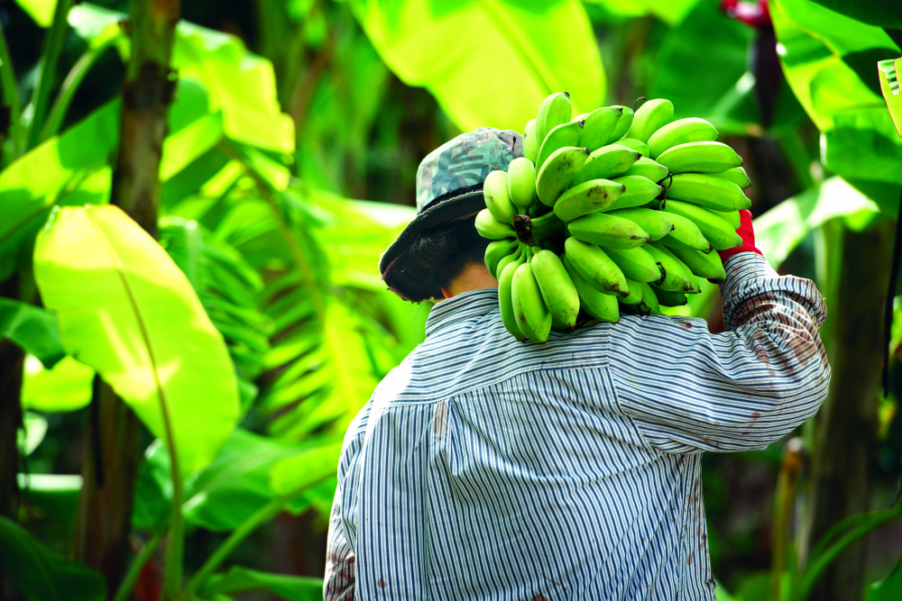 Ảnh mang tính minh họa - Shutterstock