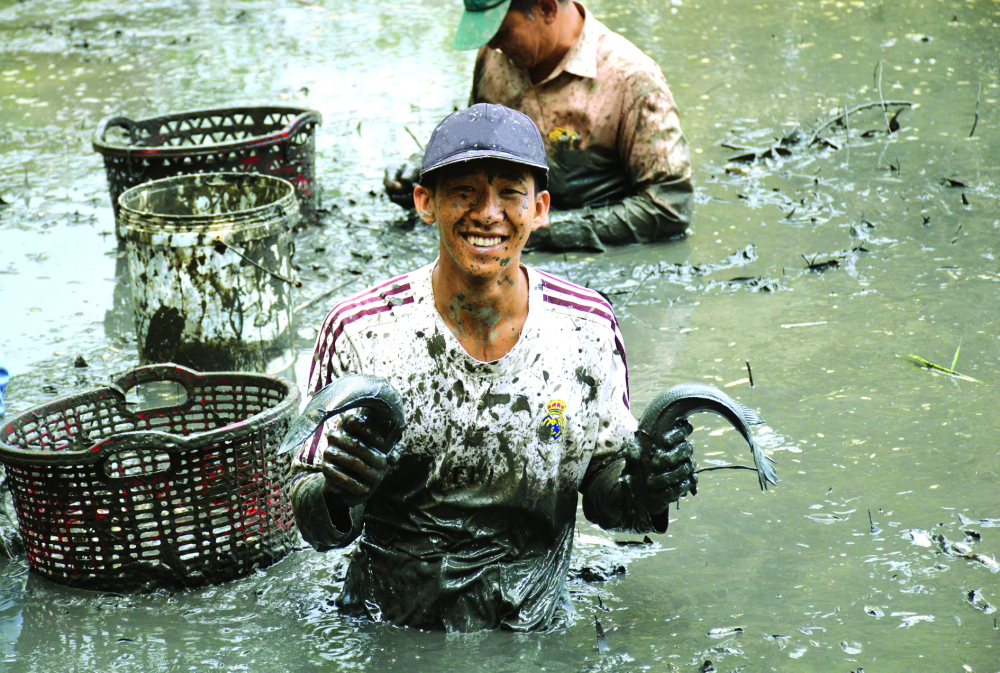 Tát đìa, bắt cá để dành làm khô chia nhau ăn tết đã trở thành nét đẹp đặc trưng của vùng quê miền Tây - Ảnh: Chúc Ly