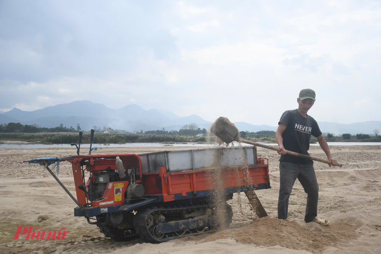 Để có cát, gia đình bà Viên ra các bãi bồi trên sông Trà Khúc sàng để lọc sỏi trước khi cho vào thùng. Cát mịn, không lẫn sỏi đá giúp cây giá phát triển thuận lợi, không biến dạng.