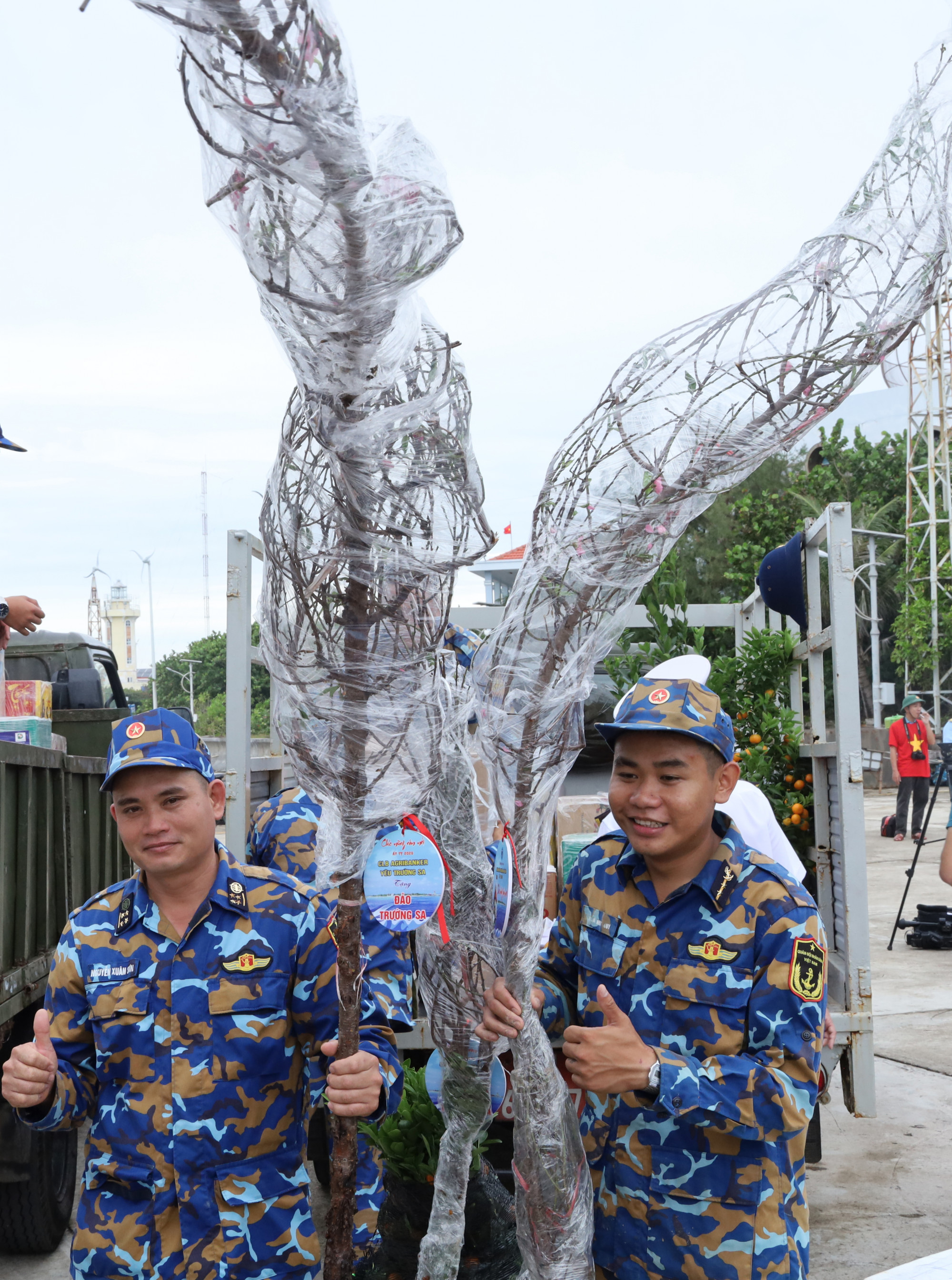 Những cành đào từ tàu đưa xuống đảo Trường Sa, niềm vui nhận quà tết từ đất mẹ