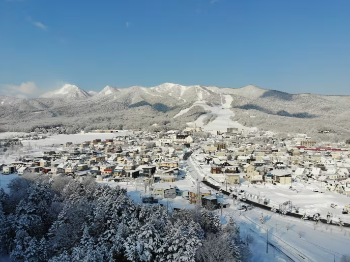 Furano, Nhật Bản: Đây là thành phố thuộc Hokkaido và tỉnh này đang có lượng tuyết rơi kỷ lục trong mùa đông năm nay. Cách sân bay New Chitose 2 giờ lái xe, Furano thu hút những người trượt tuyết chuyên nghiệp. Nếu đến vào mùa hè thì đạp xe qua những cánh đồng hoa rực rỡ và tự thưởng một ly kem mềm hoa oải hương - Ảnh: Lightfoot Travel