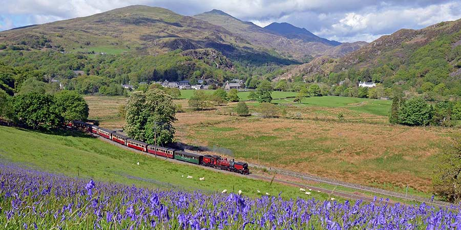 Ảnh: Ffestiniog Railway, Wales