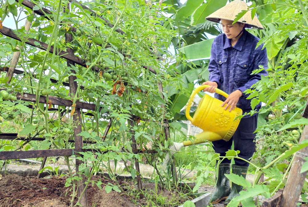 Nói không với hóa chất, chị Nguyễn Thị Hằng tự ủ các sản phẩm vi sinh  để bón và phòng trừ sâu bệnh cho các loại rau, củ, quả