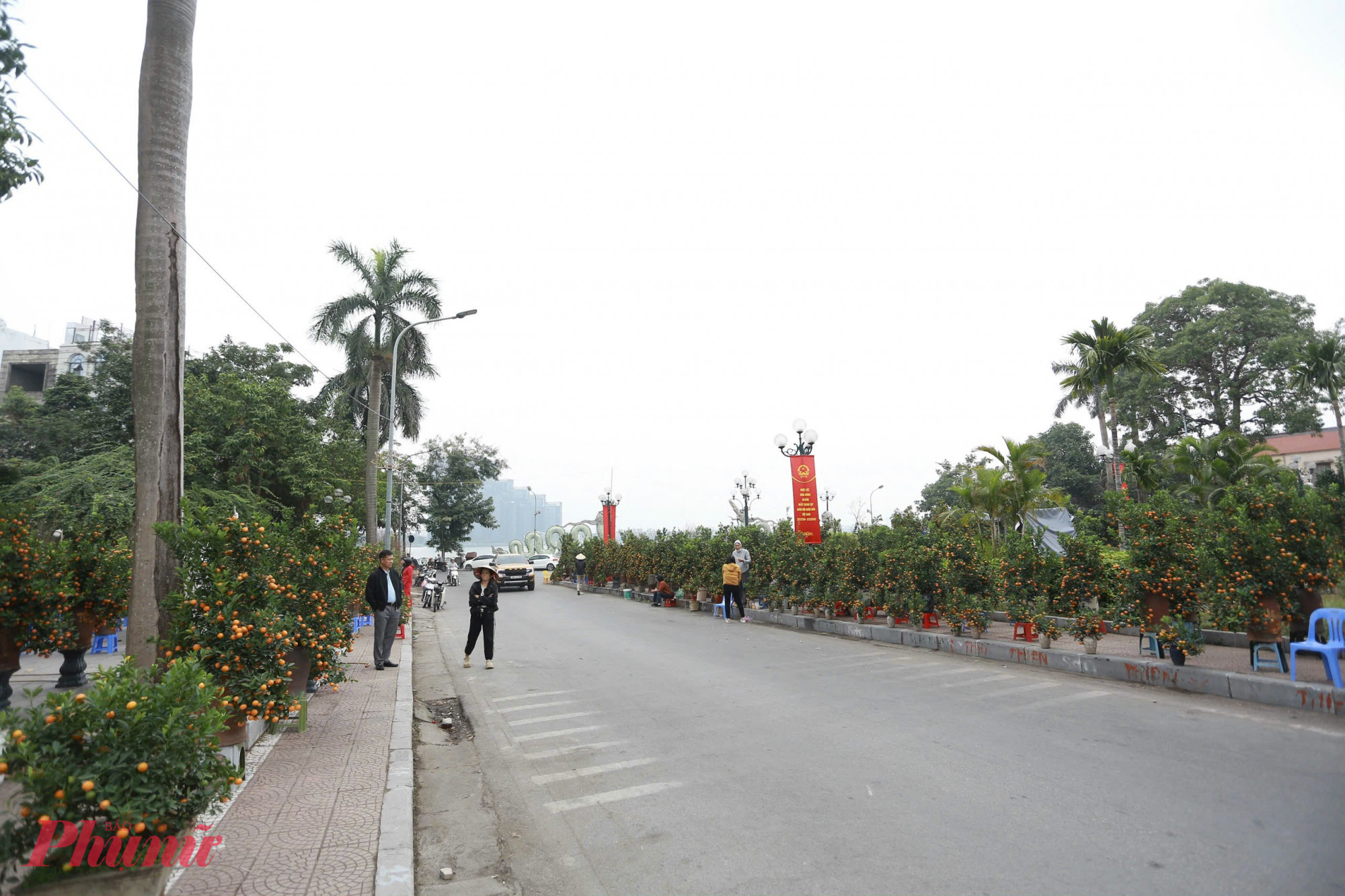 Trên tuyến đường Lạc Long Quân, quận Tây Hồ tấp nập đến các tiểu thương bày hàng cây cảnh, hoa,… phục vụ Tết Nguyên Đán. 