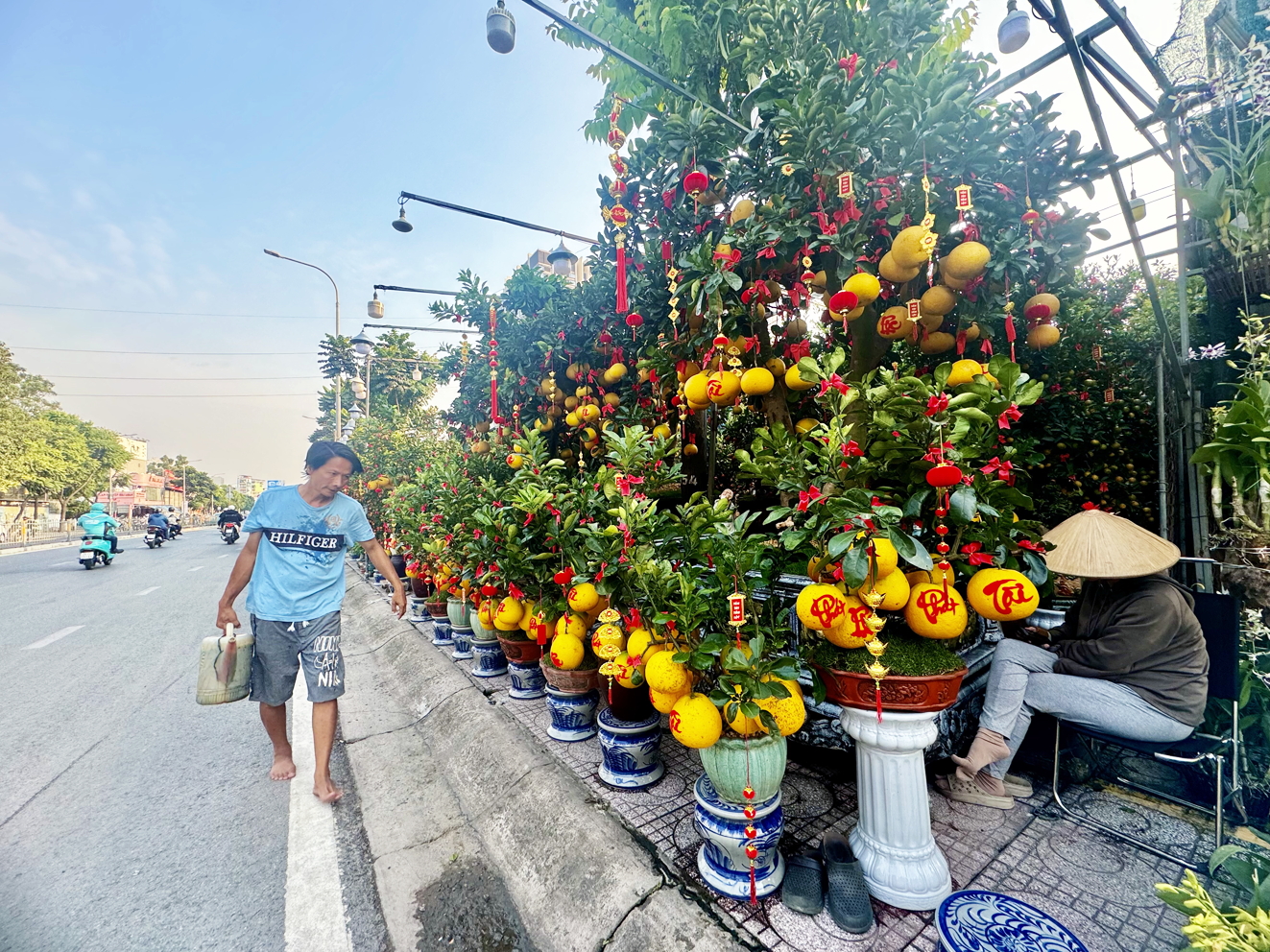 Đường Thành Thái, quận 10, TPHCM - nơi tập trung nhiều tiệm bán hoa, kiểng - khá vắng khách,  thỉnh thoảng có vài khách ghé mua với số lượng rất ít - ẢNH: T.H.