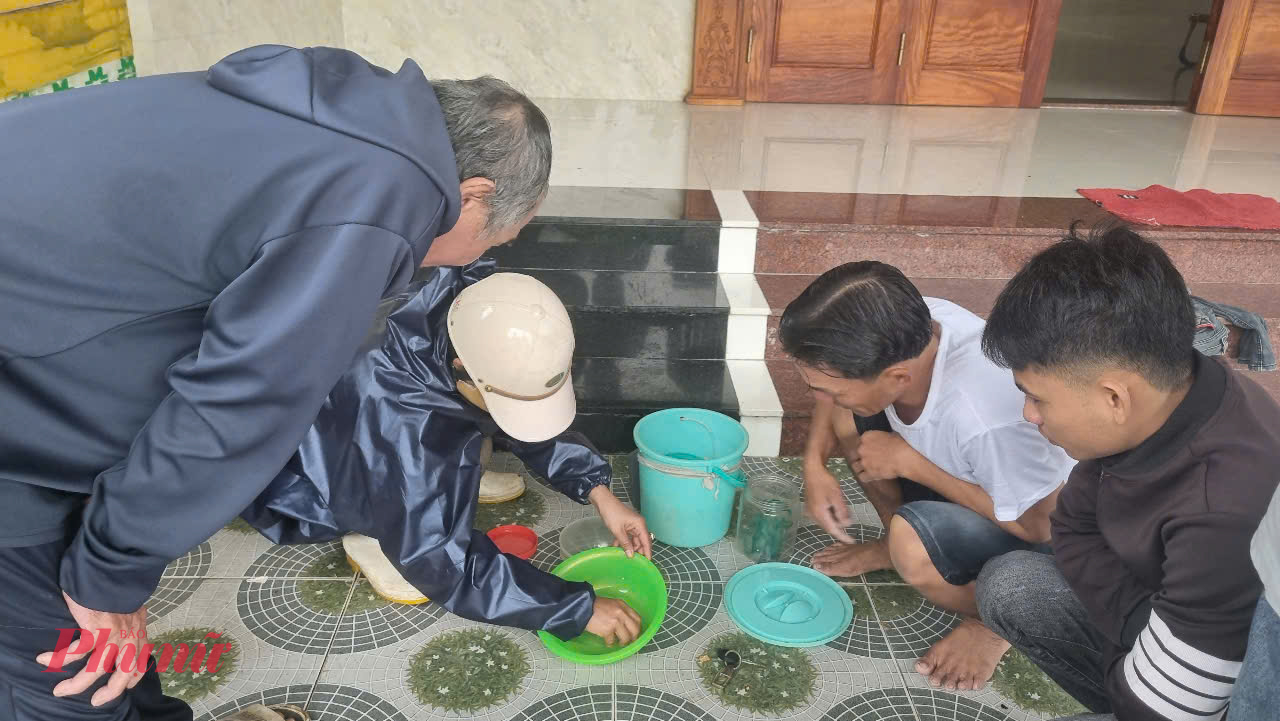 Tôm hùm nhí được thương lái thu mua ngay trong ngày. Ngư dân và thương lái cùng nhau đếm từng con tôm. Tôm hùm nhí được mua để bán lại cho các trại nuôi tôm ở các tỉnh Khánh Hòa, Phú Yên.