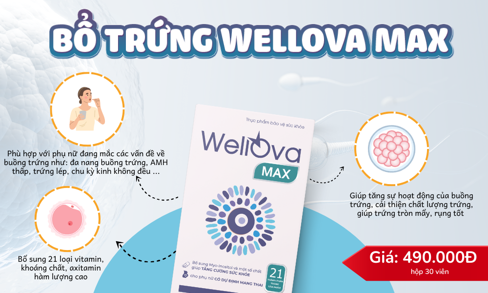 WellOva Max cải thiện chất lượng trứng cho phụ nữ đang gặp các vấn đề về buồng trứng