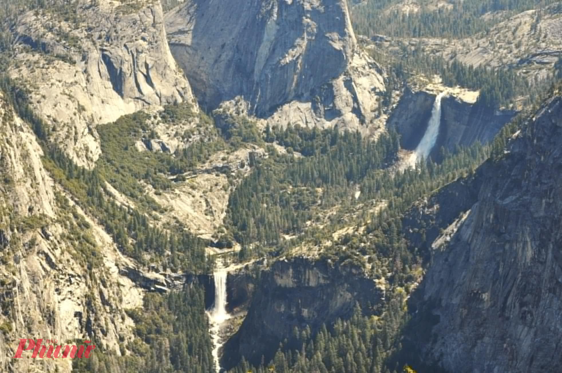 Yosemite là nơi cư trú của nhiều loài động, từ gấu đen, nai cho đến đại bàng đầu trắng. Điều thú vị là ở đây có nhiều thác nước và nổi tiếng nhất là thác Yosemite.