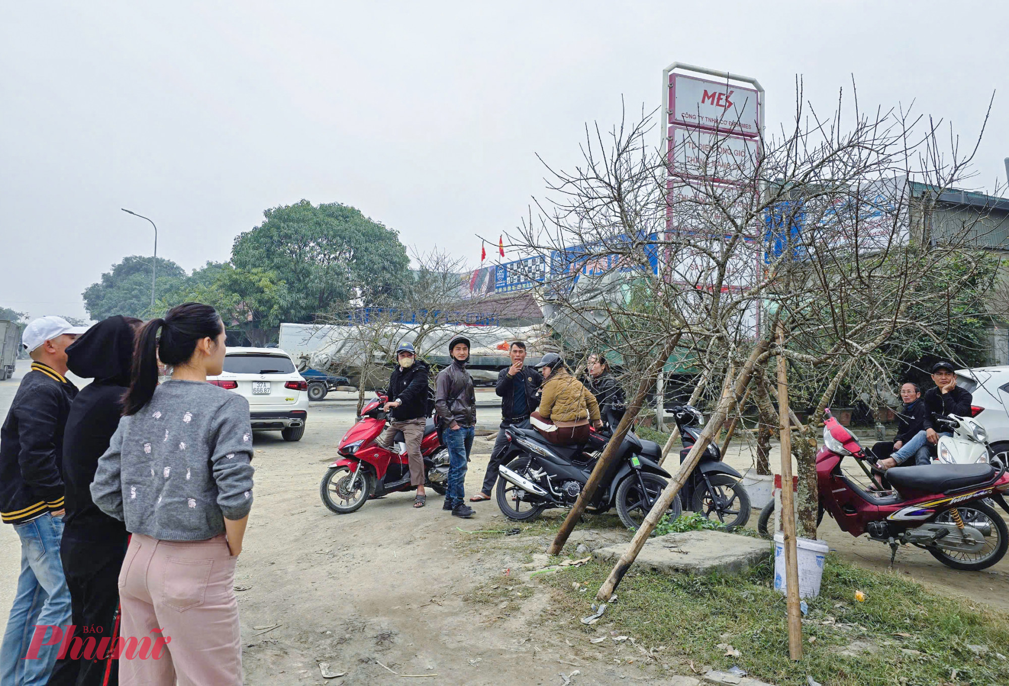 Tết Nguyên đán Ất Tỵ chỉ còn hơn 1 tuần, song thời điểm này đào đá vẫn rất khan hiếm trên thị trường hoa tết ở TP Vinh (tỉnh Nghệ An). Anh Nguyễn Văn Quyền (trú phường Nghi Phú, TP Vinh) cho biết, dọc tuyến quốc lộ 46 đoạn qua xã Nghi Ân, phường Nghi Phú (TP Vinh) được xem là khu vực tập trung đào đá của thương lái. Thời điểm này các năm trước, đào đá đã tràn ngập nhưng năm nay số lượng rất ít.