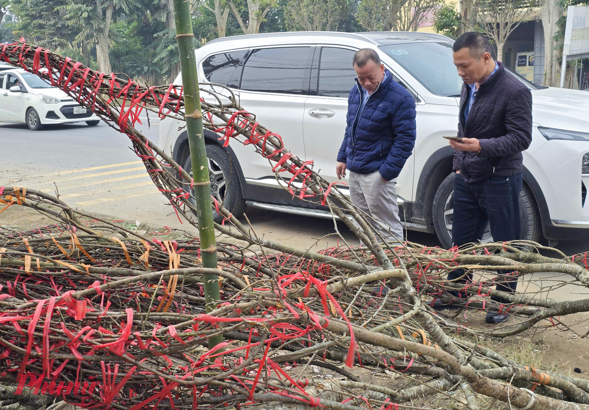 Theo anh Quyền, đào đá có thân, gốc phủ đầy rêu phong mang vẻ hoang sơ nên được nhiều người ưa chuộng. “Những năm trước đào về rất nhiều dễ lựa chọn hơn, nhưng năm nay số lượng rất ít, lại đắt nên giờ tôi vẫn chưa mua được cành nào” - anh Quyền nói.