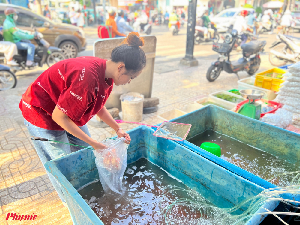 Nhân viên của cửa hàng này ngay khi ngơi khách sẽ tranh thủ cho cá vào túi sẵn, mỗi túi ba con, thêm nước, bơm ôxy để tránh khách chờ đợi ngày cao điểm.