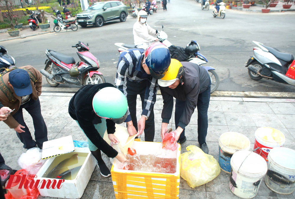 Tại khu vực này, người dân được tuyên truyền và tự giác thả cá chép có ý thức, không ném cả bịch nilon đựng cá xuống hồ.