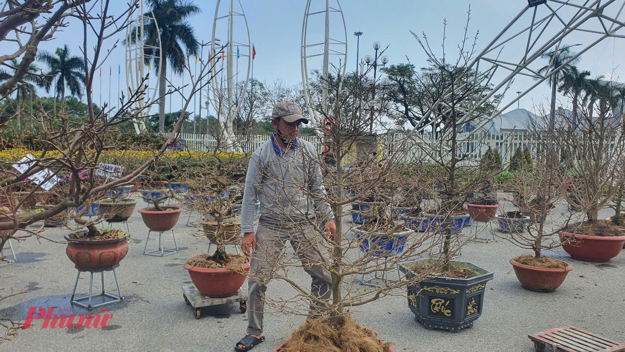 Những người bán hoa tết đang lo lắng 