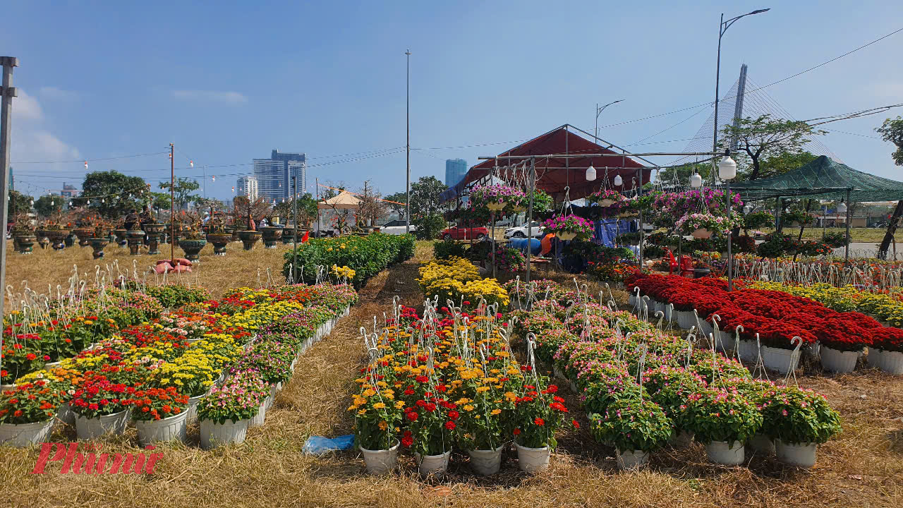 Phần lớn người bán chỉ chưng các loại hoa bon sai, hoa cỡ mini để vừa sức mua