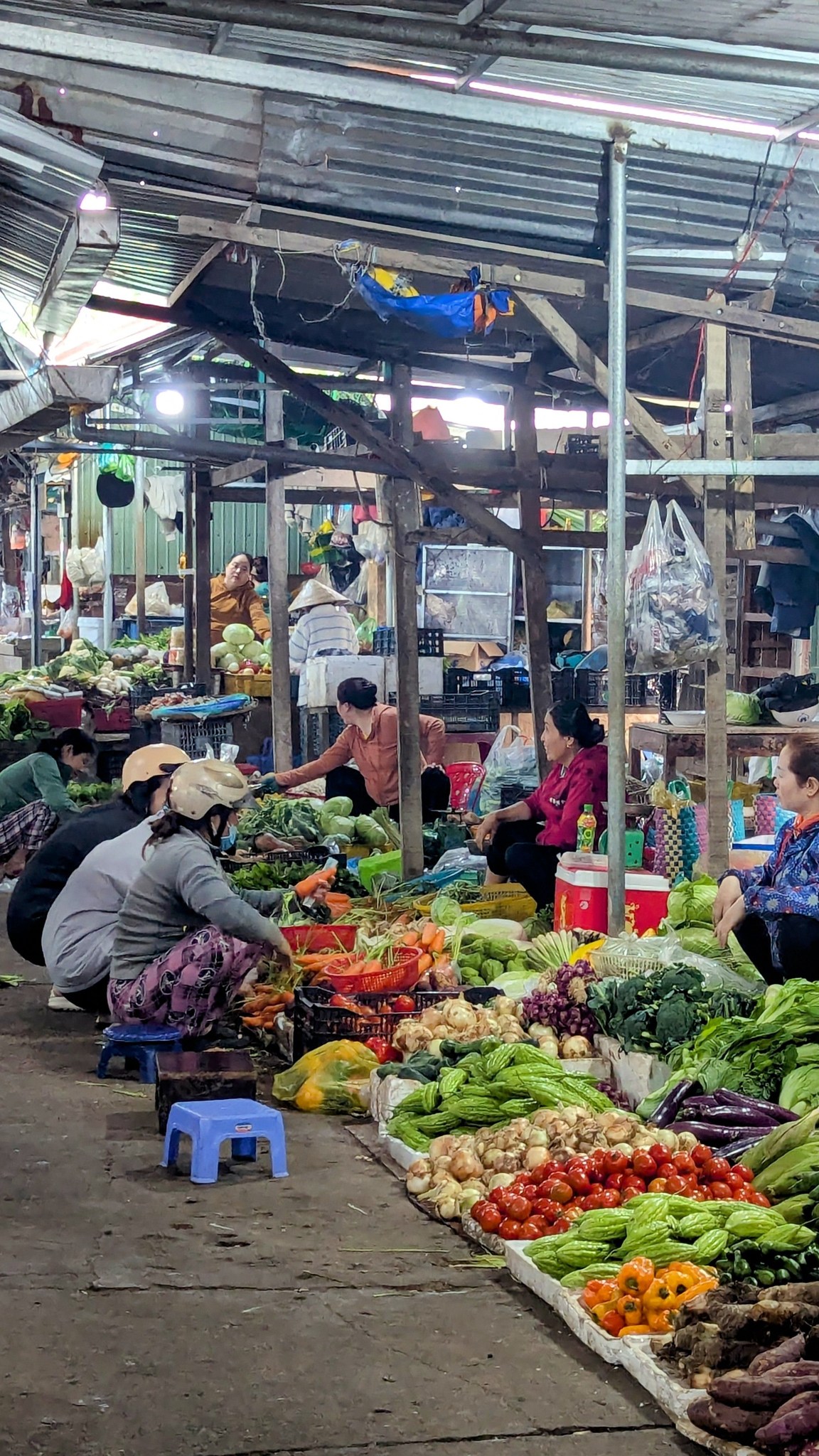 Rau hành, củ